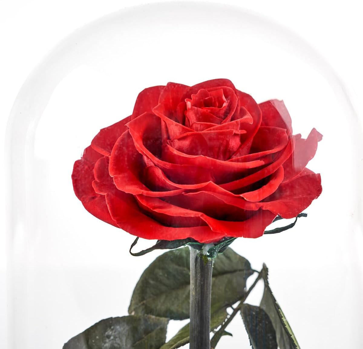 LÁMPARA ROSA ETERNA